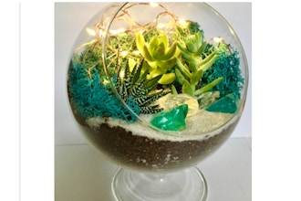 Plant Nite: Fairy Light Succulent Terrarium